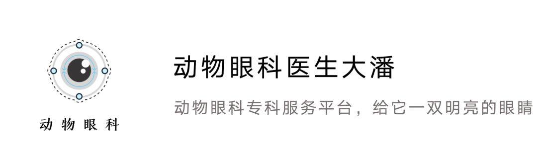 猫咪泪痕太严重是什么原因,猫咪泪痕的解决办法是什么