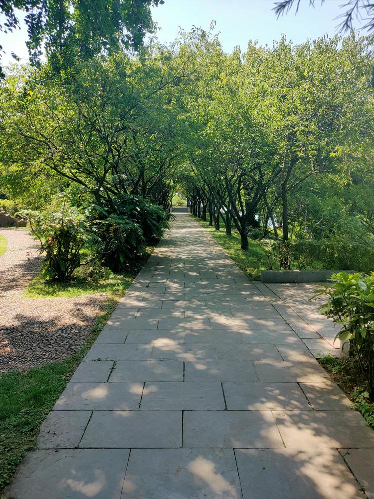 曾作为禁地，与外界隔绝二百六十多年的“玄武湖”，今日锣鼓喧天