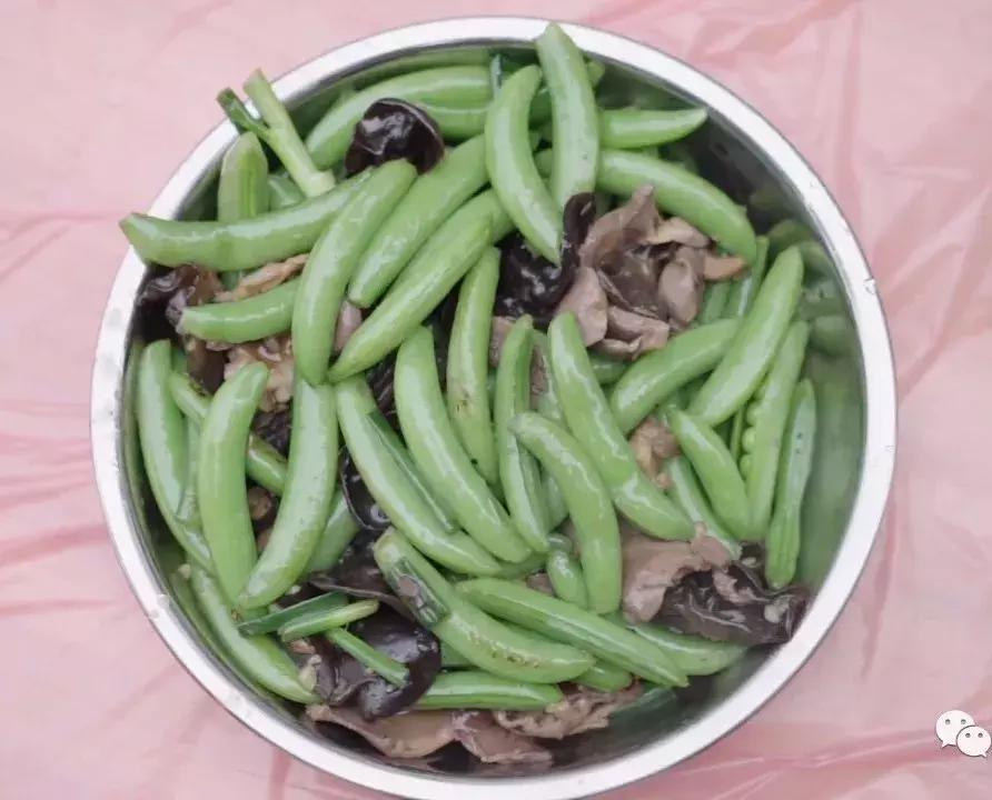 就在博罗园洲！这个比过年还热闹的节日，已有400年历史……