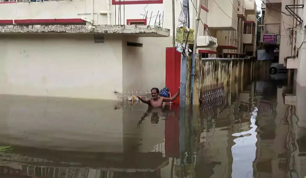 一颗洋葱视频,一颗洋葱让我泪流满面