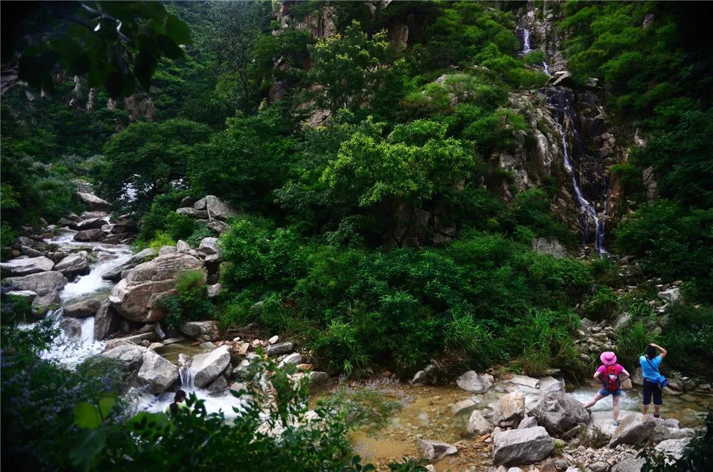 山东百强县2021年排名,山东2021百强县排名榜