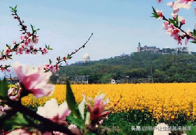 上海佘山国家森林公园日本雕像,上海佘山国家森林公园最新通告