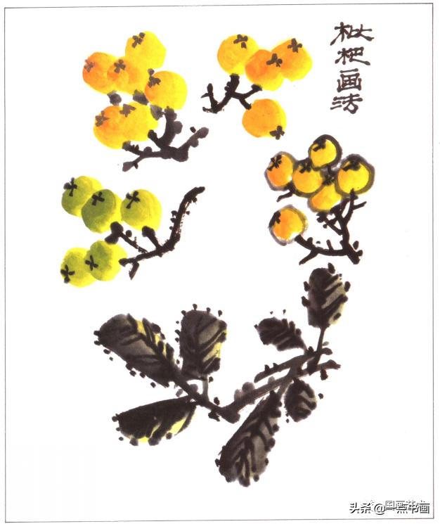 写意蔬果用铅笔怎么画,写意蔬果掌握教学重点的方法