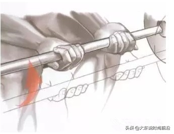 减脂健身计划一周表,减脂健身计划一周表图