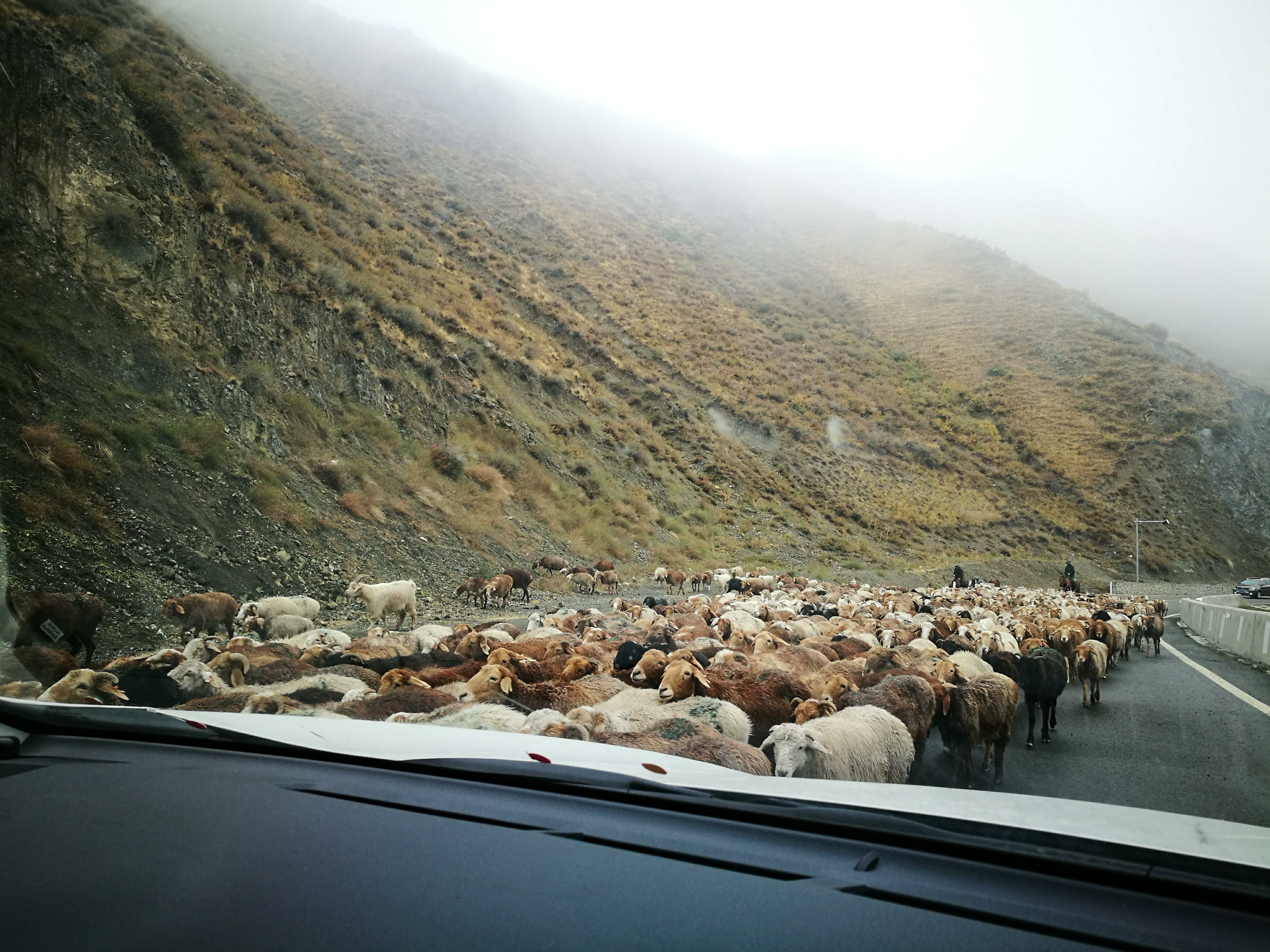 独库公路之旅日记,13000公里自驾新疆第十二天