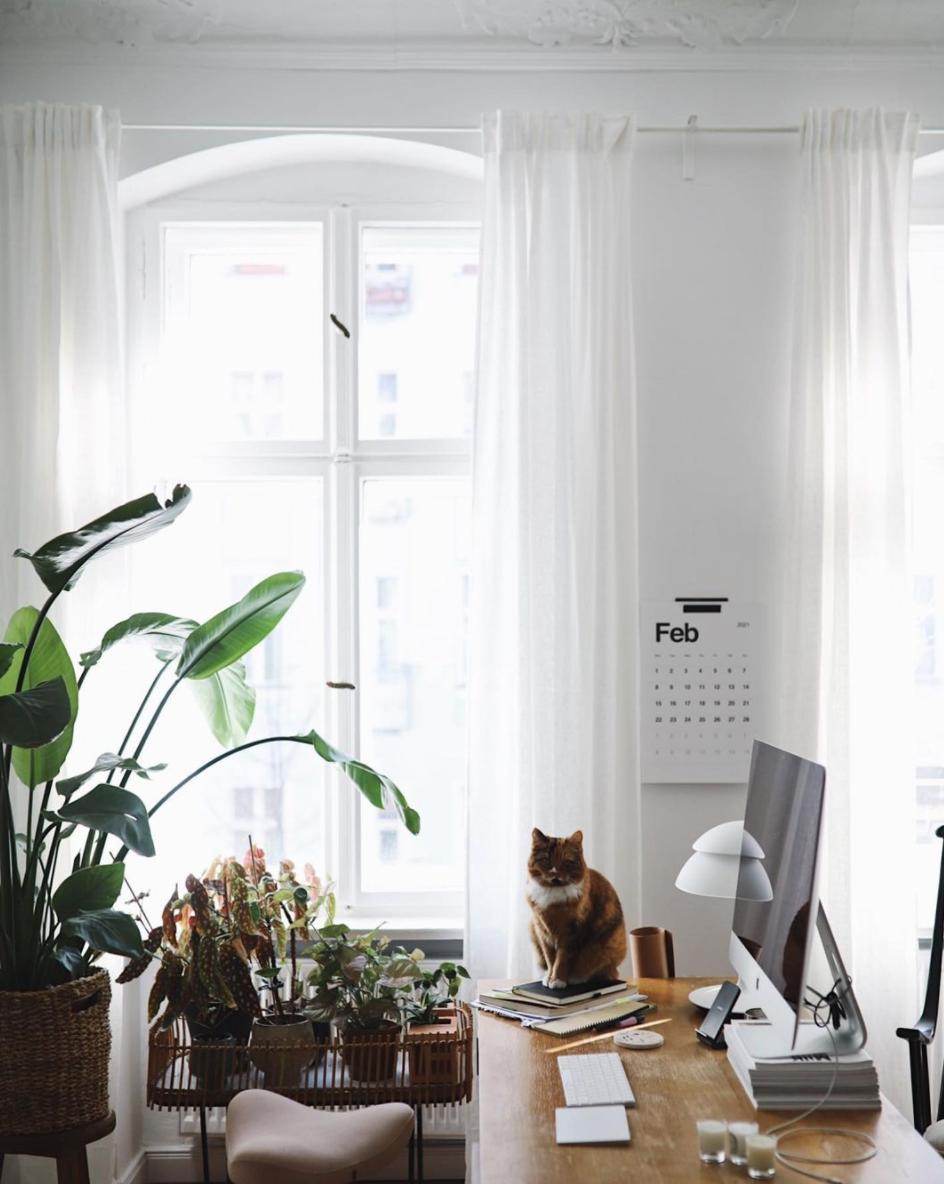 再来一杯冰拿铁,再来一杯冰咖啡