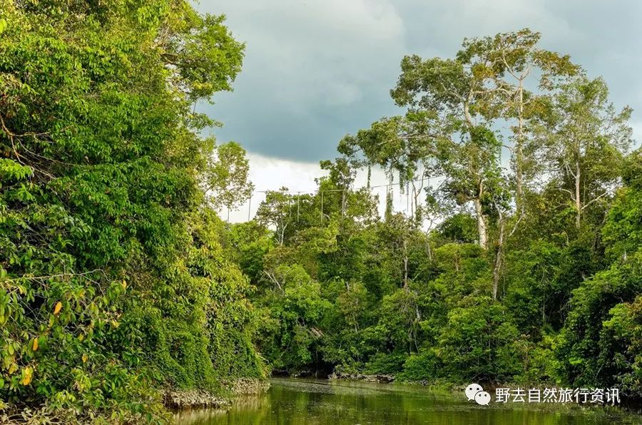 希望疫情早点结束能陪孩子多走走,待疫情彻底过去