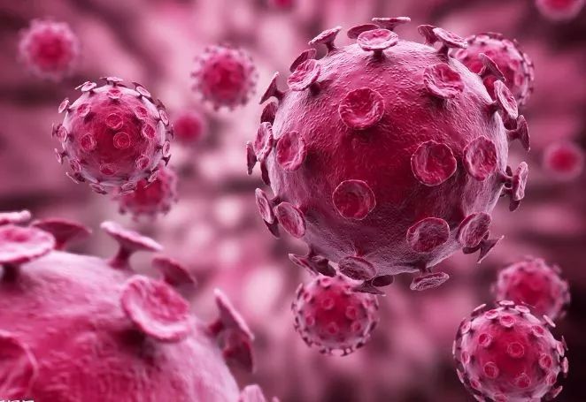 tct检查报告审核,tct报告单怎么看的