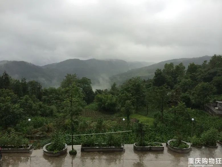 我用10年时间把重庆避暑地和避暑方式体验了个遍，优缺点全在这