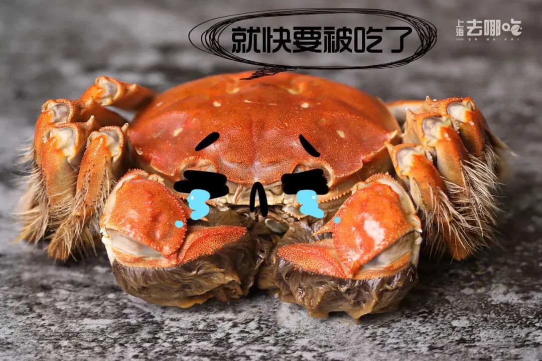 立秋，立秋！这43件事，上海人必须要去做