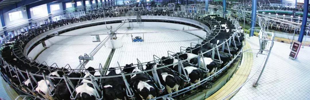 代购靠谱还是天猫靠谱,代购便宜还是网购便宜