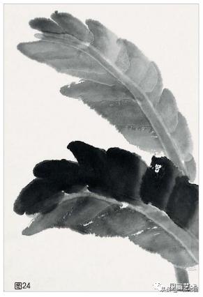 芭蕉叶画法教程,国画芭蕉画法视频
