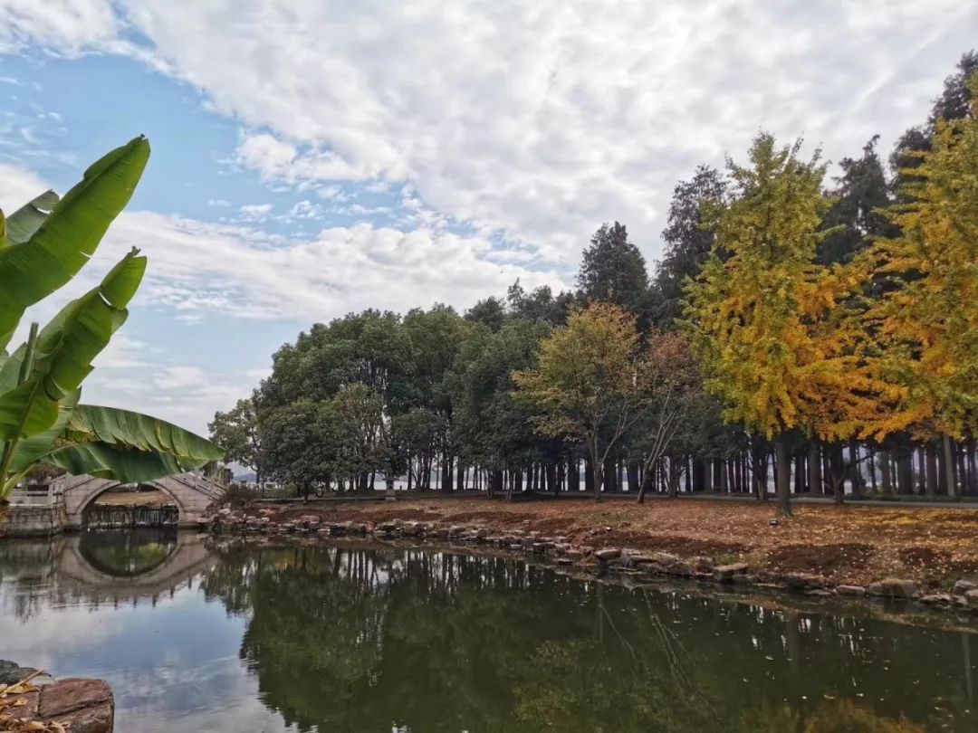 肖战无锡同款打卡,肖战美食重庆同款地点打卡攻略