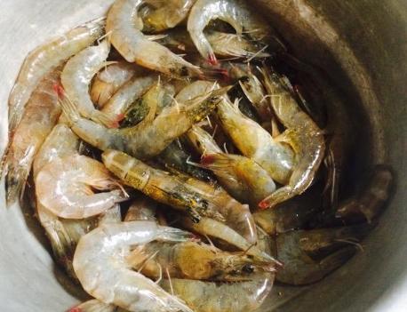 炸虾需要放盐吗,炸虾只裹鸡蛋液