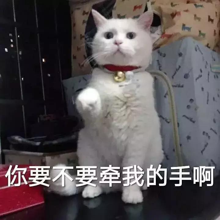 平价学生党彩妆批发,均价不到30的平价彩妆合集