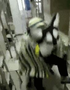 超级搞笑gif图,超好笑gif图