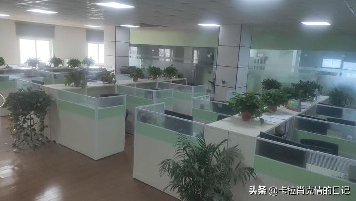 找工作苏州厂内直招,苏州体制内工作在哪招聘