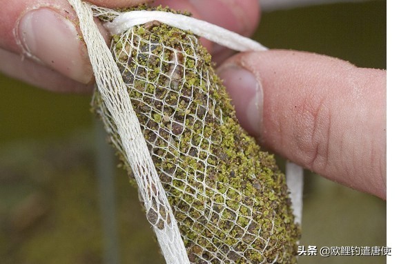 外国人钓鱼打窝技巧,老外用超大饵钓鱼