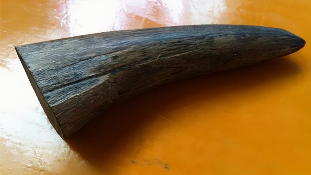 头骨最值钱鸟,头骨很珍贵的鸟