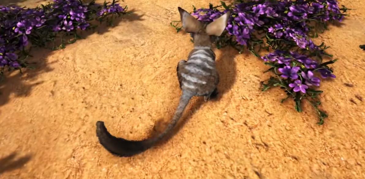 方舟生存进化天象,方舟生存进化天气预报员