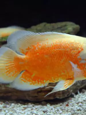 韩国弘大商圈旅游攻略,韩国首尔旅游攻略费用高