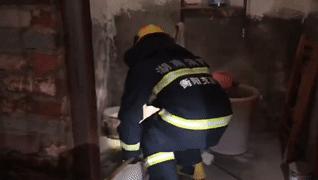 家周围频繁出现蛇是什么预兆,家附近老是有蛇怎样驱赶