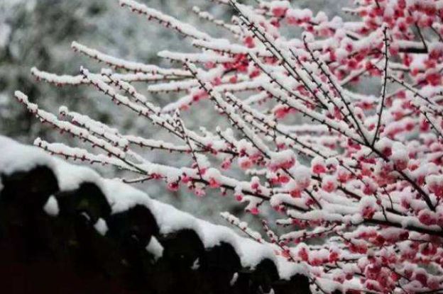 有关冬月美景的诗词,十一月唯美诗句