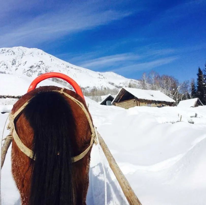 抖音做完酒店，又开始做旅行社“*梦春**”