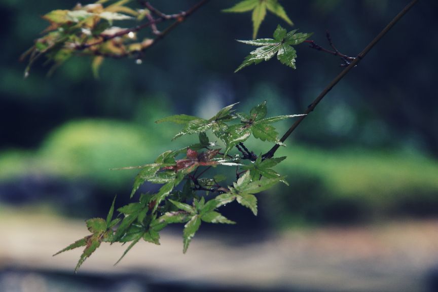 比60d高端的相机,60d单反相机价格