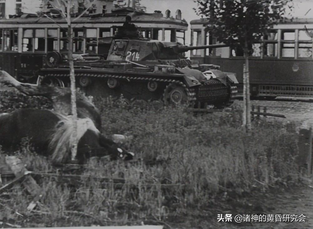 七月飞火-100张珍贵图片中的1942年沃罗涅日血战今与昔（上）