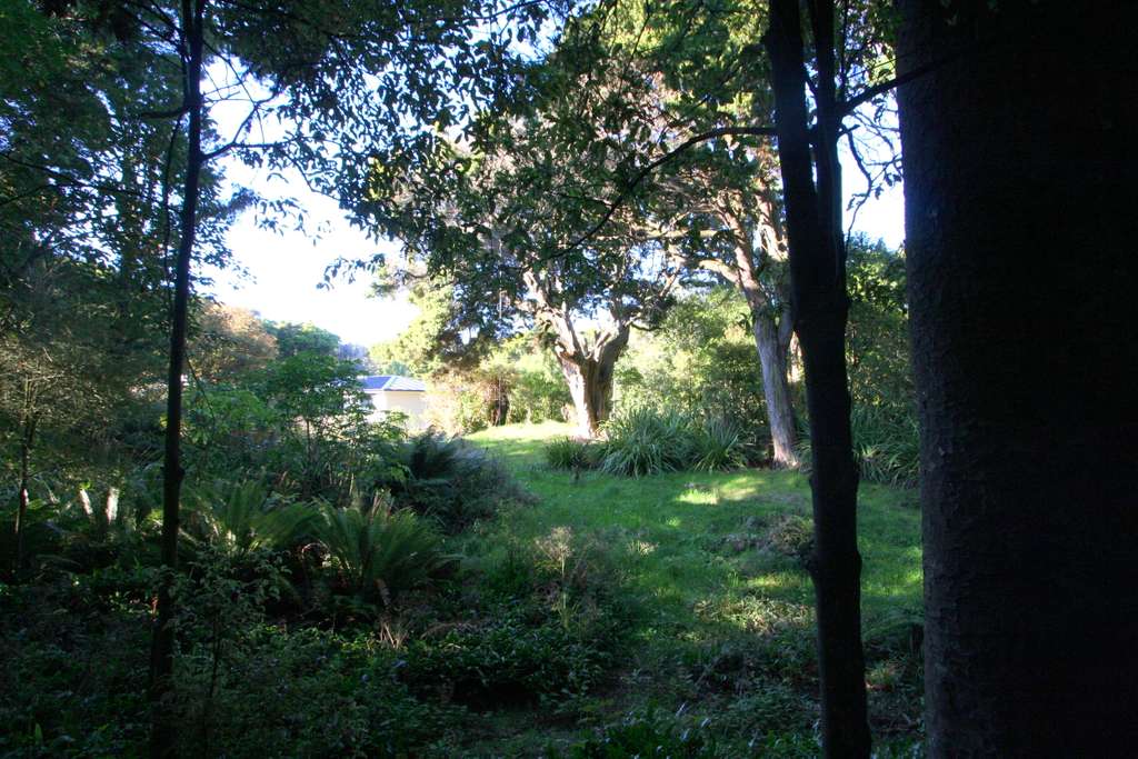 100万人民币在新西兰,100万在新西兰能买到什么车