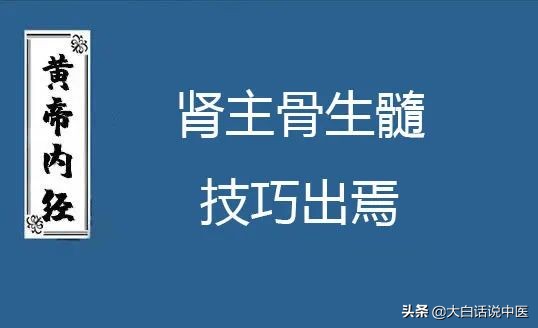 大白话说中医第二十三期｜老年痴呆不用怕，早早预防躲开它