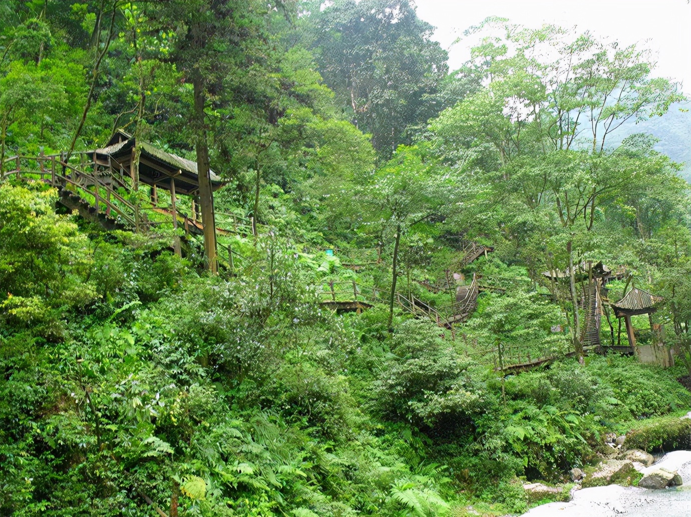 峨眉山防猴方法,峨眉山怎么防御猴子