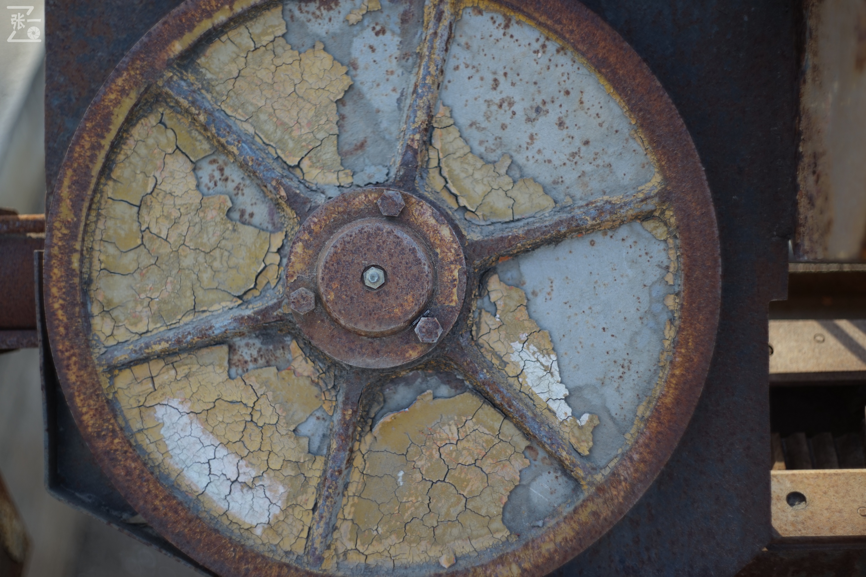 日本进口雅西卡胶卷相机,雅西卡135相机