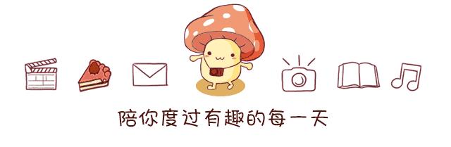 专业的事给专业的人做，岳阳石牛寨给游客更好的旅游体验！