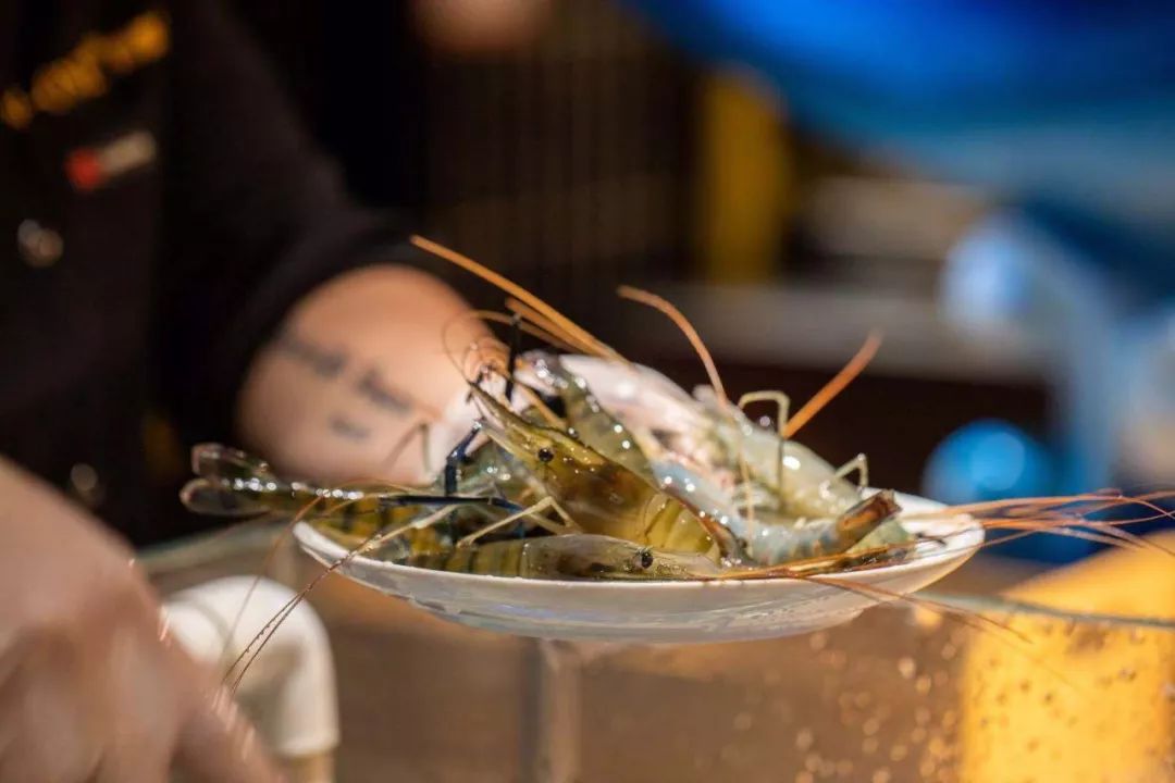 象拔蚌拼鹅肝三文鱼刺身拼盘,象拔蚌三文鱼鹅肝刺身拼盘