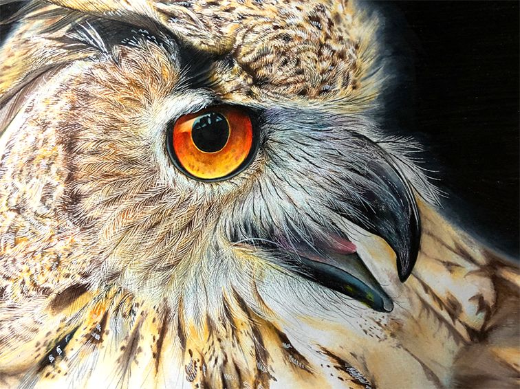 失明女孩铅笔画,保护视力守护心灵素描画