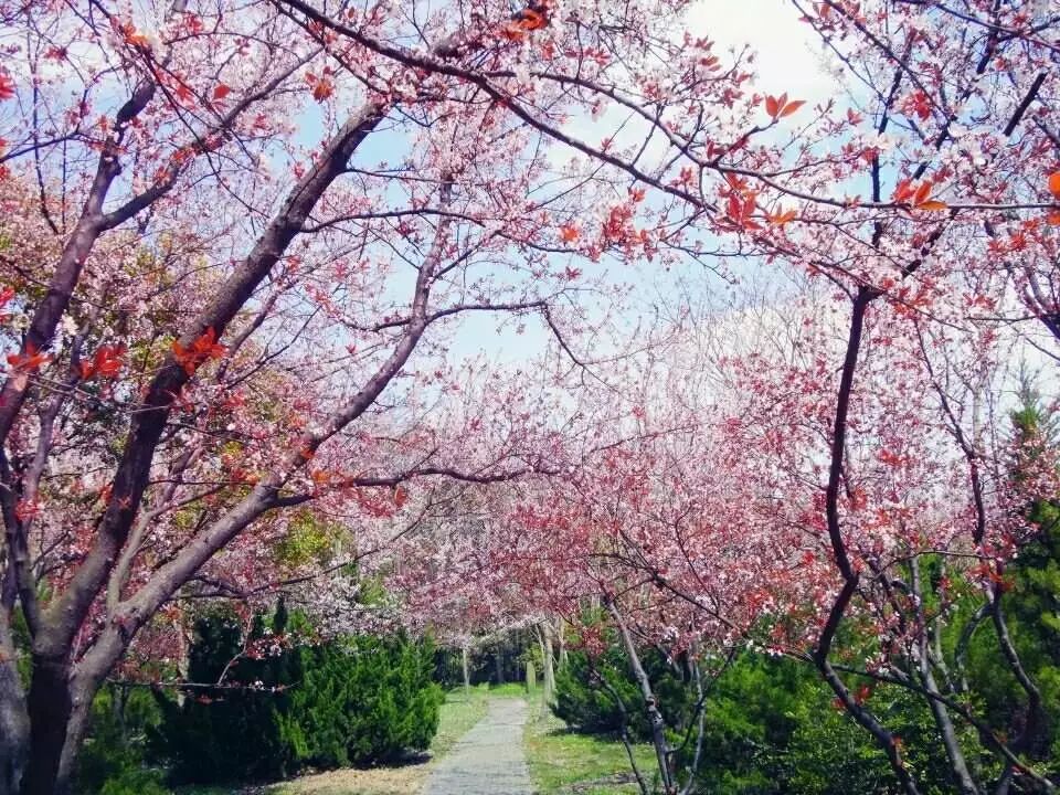 没学历在上海干什么可以挣15000,月薪不足5000的看过来