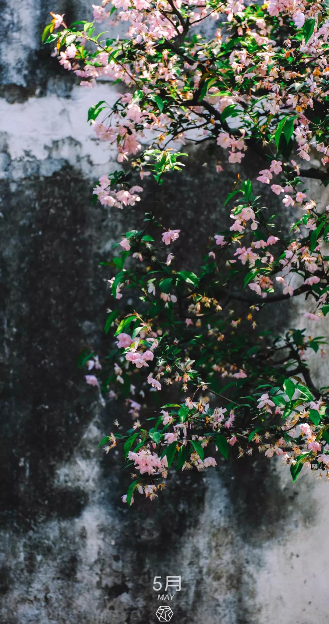 新年横屏壁纸2023超高清壁纸,苏州壁纸横屏