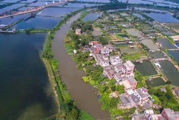 广州隐藏着一个碉楼村,广州有哪些隐藏的景点