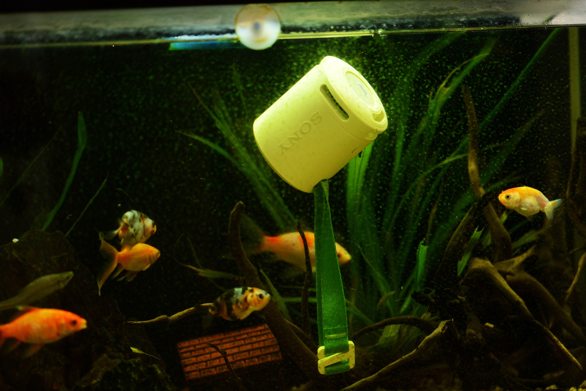 索尼无线蓝牙音响srs-xb13查真伪,索尼srs-xb13音效怎么样