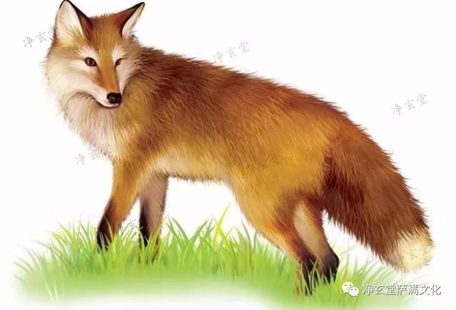 仙缘弟子心性不稳怎么修,仙缘弟子皈依佛门该如何修行