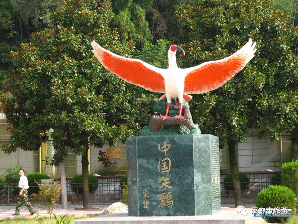 汉中周边旅游景点推荐自驾游,汉中新年到西安旅游全攻略