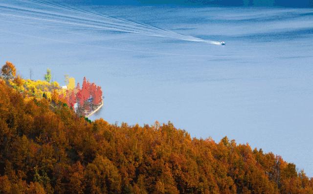 嘉年华活动3阶段,文投嘉年华