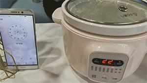 多功能电锅蒸煮炒煎一体锅测评,哪一款电炖锅最好用