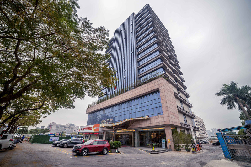 星湖冬日燃情，比落羽杉还要红的是什么？#我和湿地有个约会#