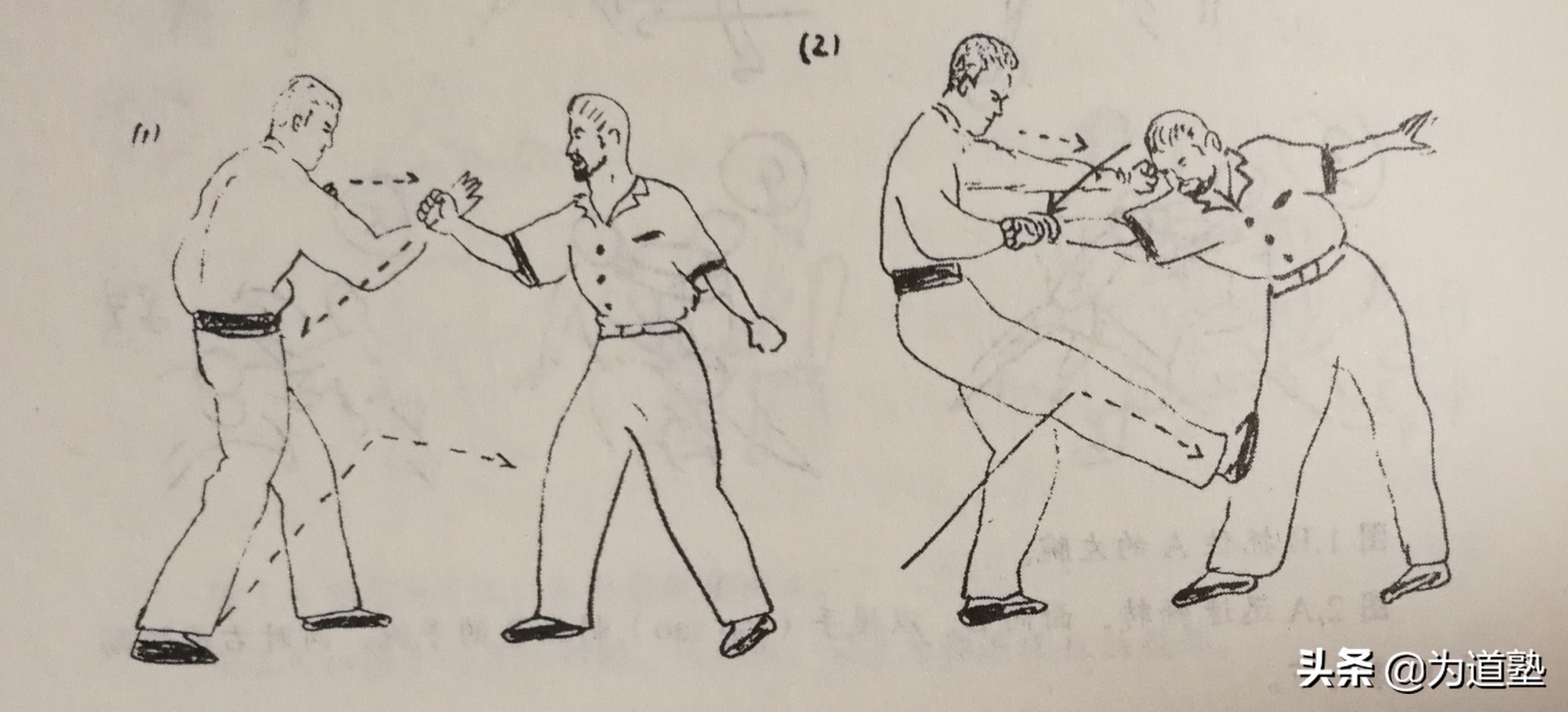 为道塾李小龙,为道塾李小龙龙争虎斗图集