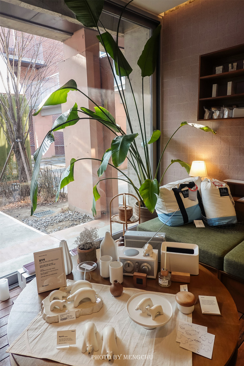 首尔圣水洞oliveyoung,韩国首尔广场打卡景点