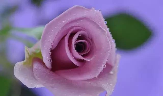 每天学习一点点女性小常识,每天学习一点点科普一下