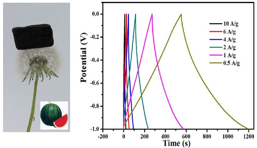 哪些人可以发sci,高中生可以发sci吗